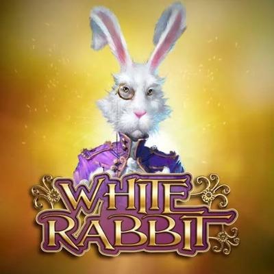 White Rabbit