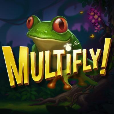 MultiFly!